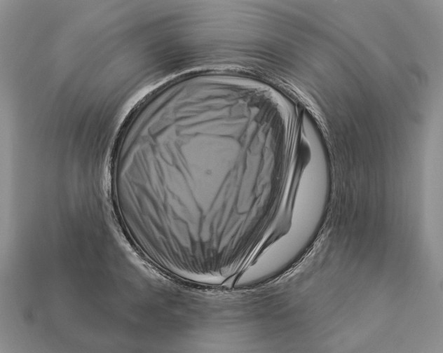 X0000113050944200909241452