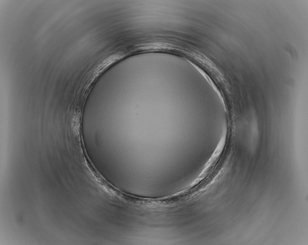X0000113050945200909241452