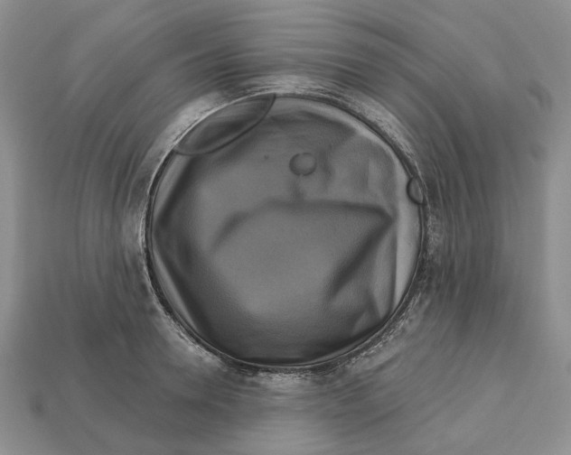 X0000113050946200909241452