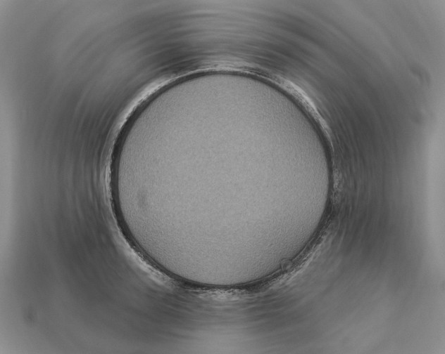 X0000113050947200909241452