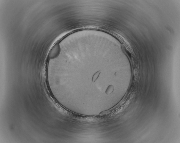 X0000113050948200909241452