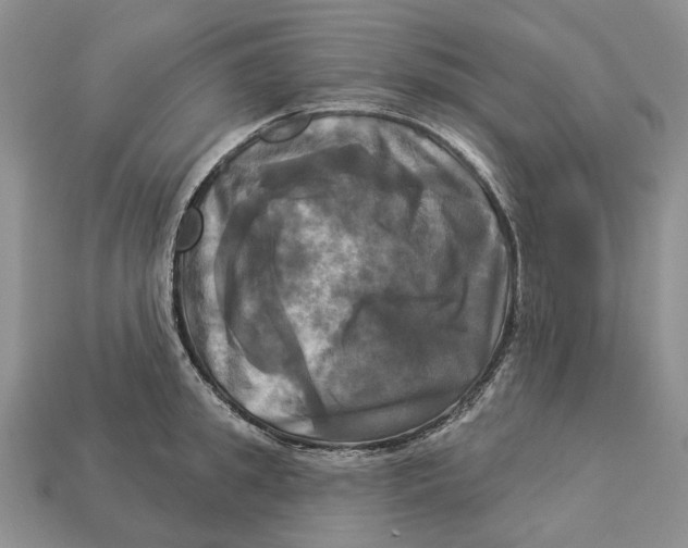 X0000113050949200909241452