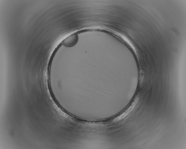 X0000113050951200909241452