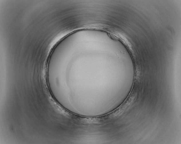 X0000113050952200909241452
