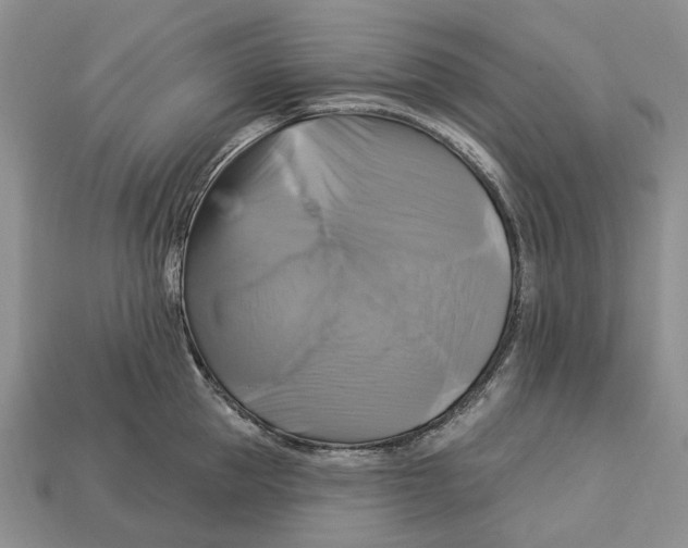 X0000113050953200909241452
