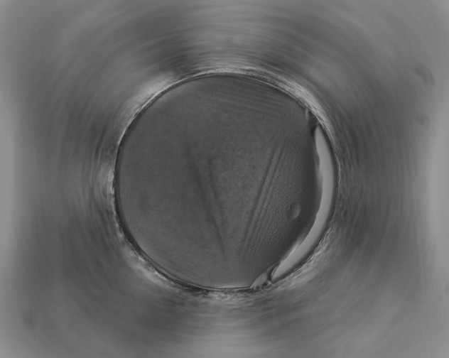 X0000113050954200909241452
