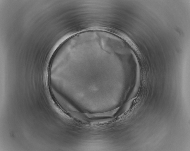 X0000113050955200909241452