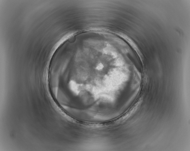 X0000113050957200909241452