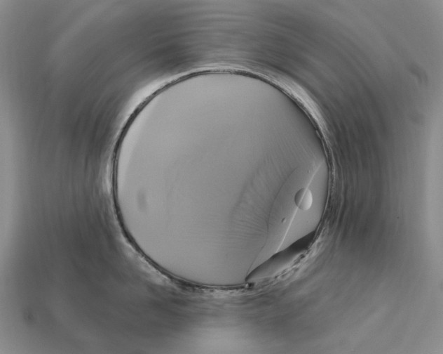 X0000113050958200909241452