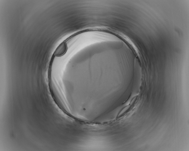 X0000113050959200909241452