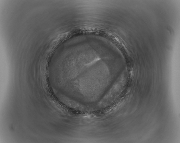 X0000113050961200909241452