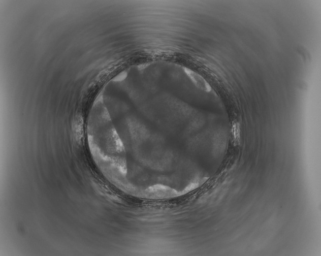 X0000113050963200909241452