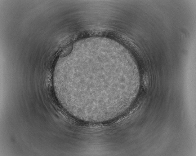 X0000113050964200909241452