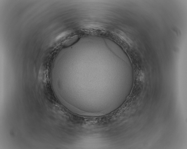 X0000113050965200909241452