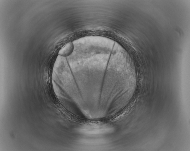 X0000113050966200909241452