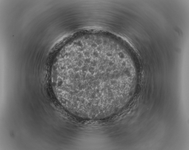 X0000113050967200909241452