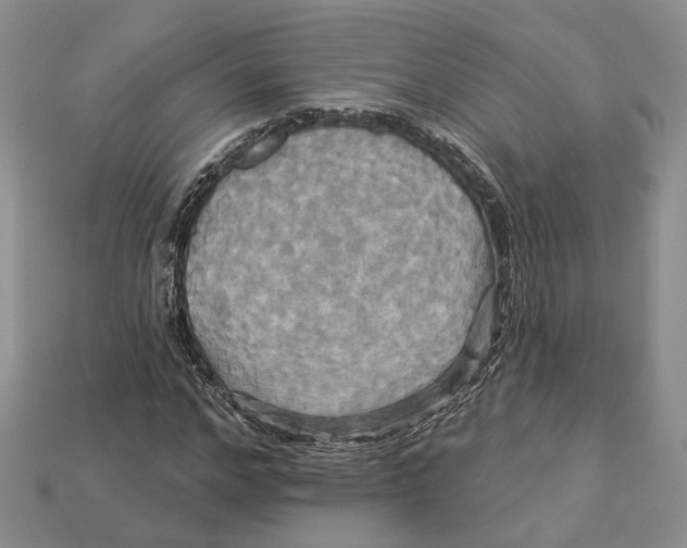 X0000113050968200909241452