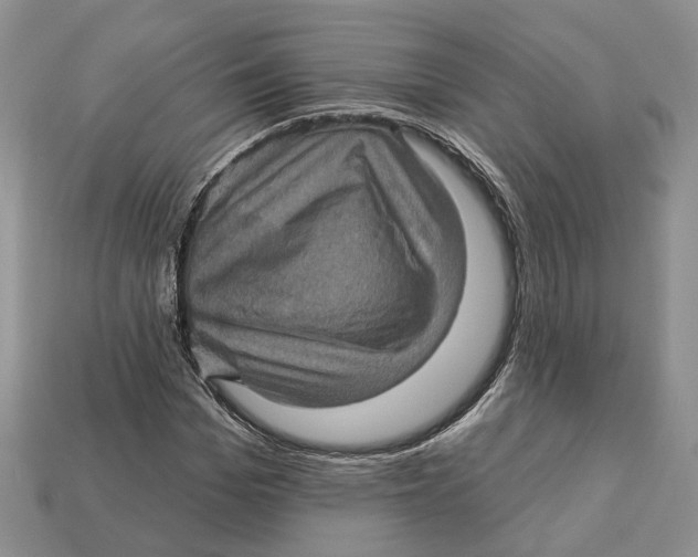 X0000113050969200909241452