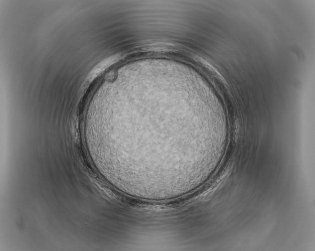 X0000113050970200909241452