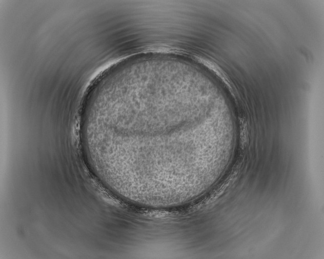 X0000113050971200909241452