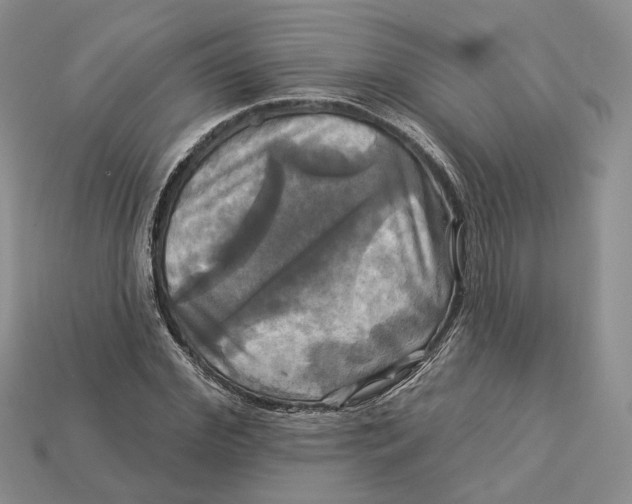 X0000113050972200909241452