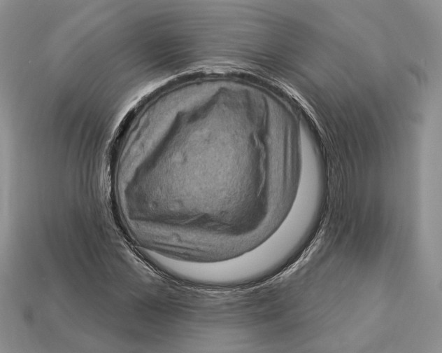 X0000113050973200909241452