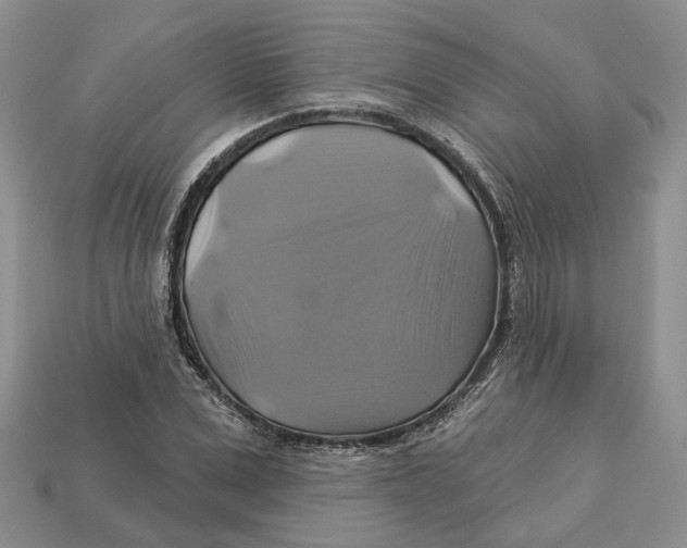 X0000113050975200909241451