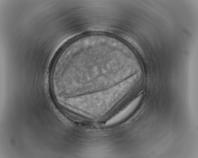 X0000113050976200909241451