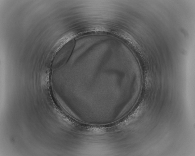X0000113050977200909241451