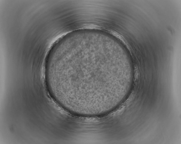 X0000113050979200909241451