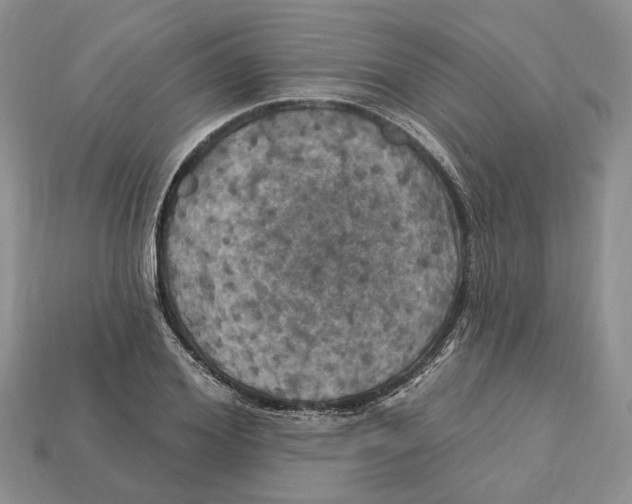 X0000113050980200909241451