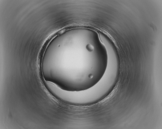 X0000113050981200909241451