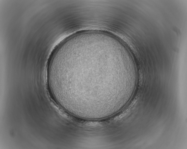 X0000113050982200909241451