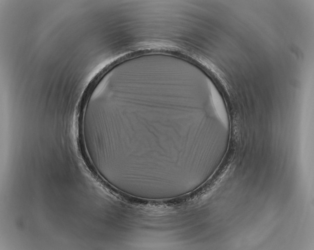 X0000113050983200909241451