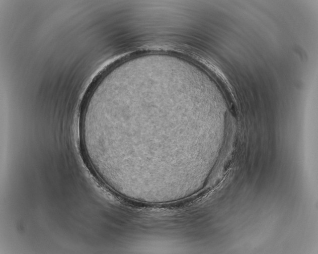 X0000113050984200909241451