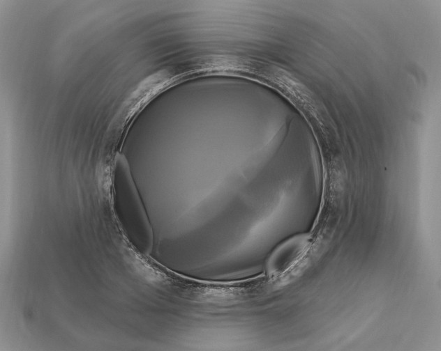 X0000113050985200909241451