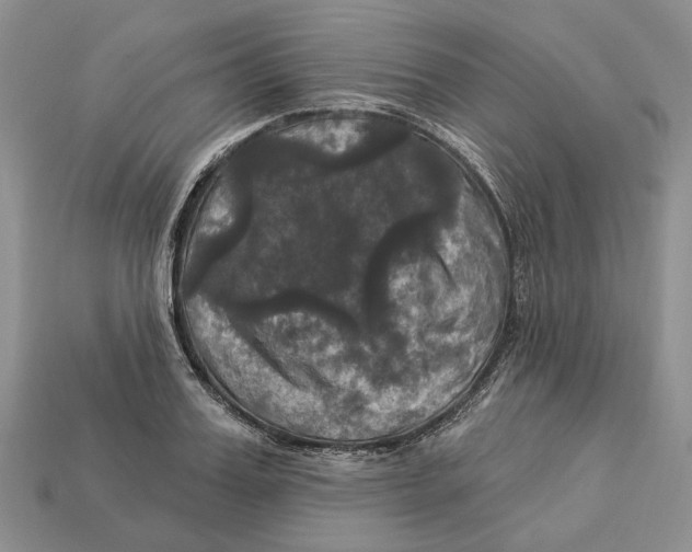 X0000113050987200909241451