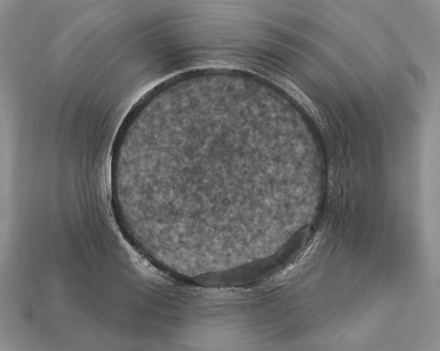 X0000113050988200909241451