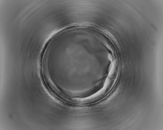 X0000113050989200909241451