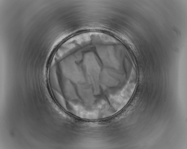 X0000113050990200909241451