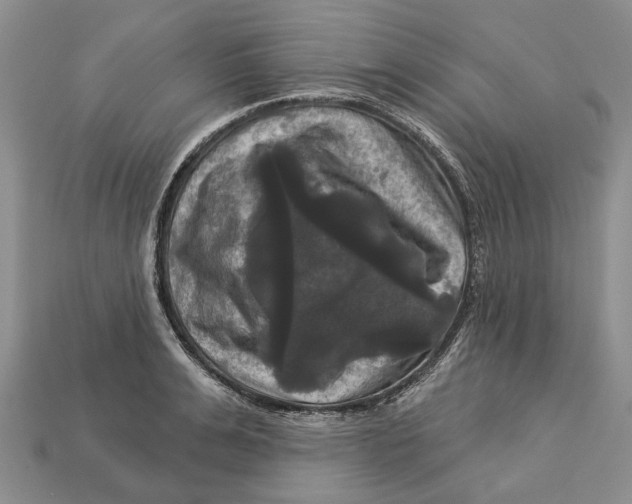 X0000113050991200909241451