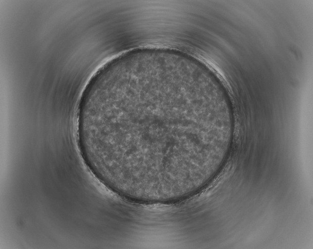 X0000113050992200909241451