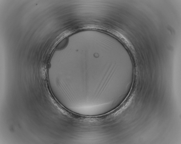 X0000113050993200909241451