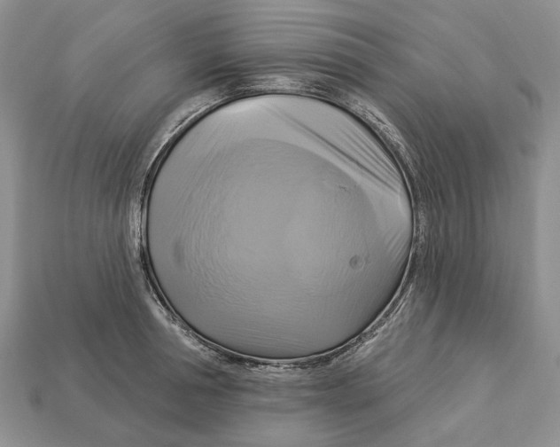 X0000113050994200909241451