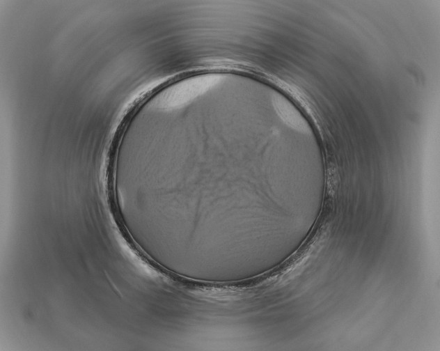 X0000113050995200909241451
