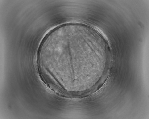 X0000113050996200909241451