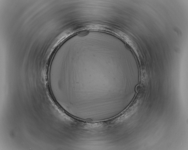 X0000113050997200909241451