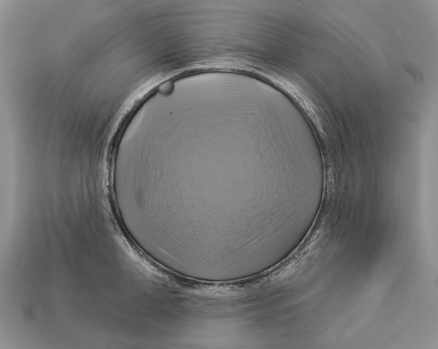 X0000113050998200909241451