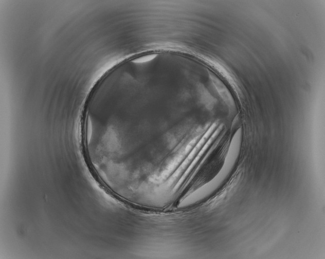 X0000113050999200909241451