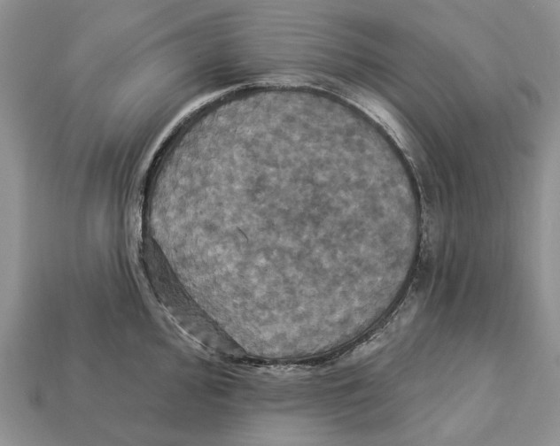 X0000113051000200909241451